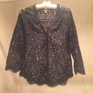 Joie Lace Top